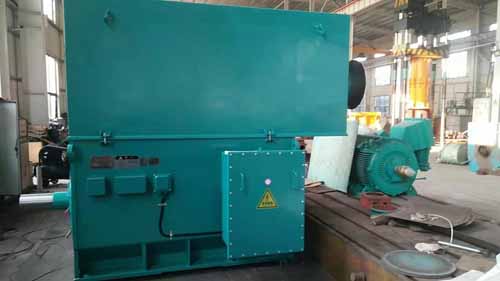 河南省南洋防爆電機有限公司高壓電機